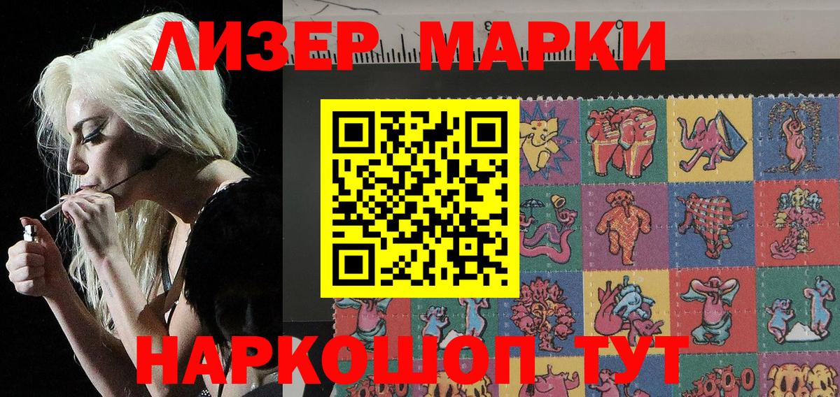 Волхов  Марки N-bome 1,8мг  Вход с VPN  Марки N-bome 1,8мг 