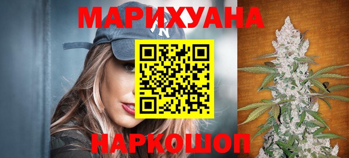 Конопля планчик Волхов